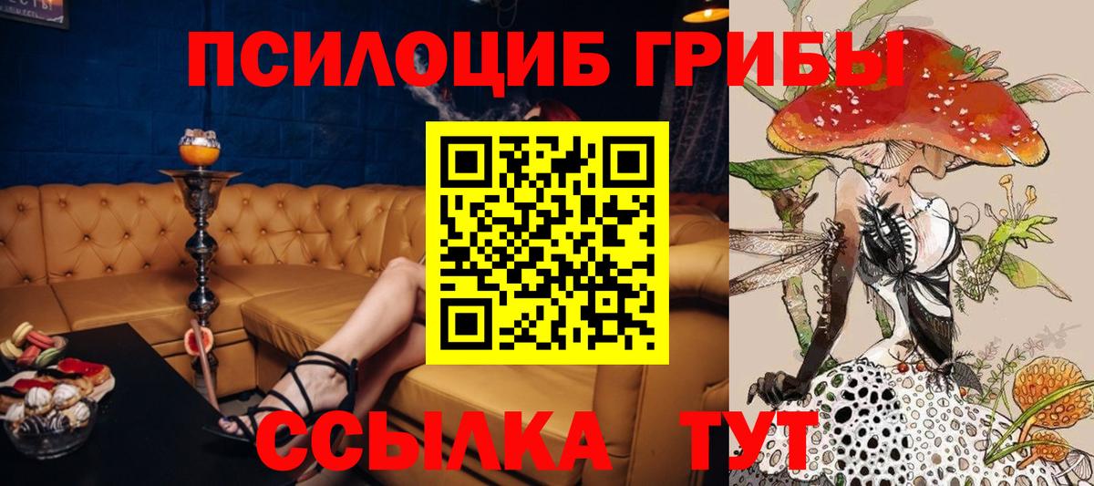 Псилоцибиновые грибы мицелий Будённовск