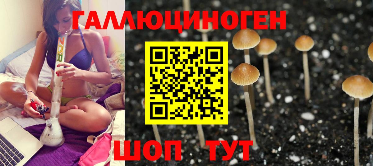 Псилоцибиновые грибы Psilocybine cubensis  купить  цена  Будённовск  Вход с VPN 