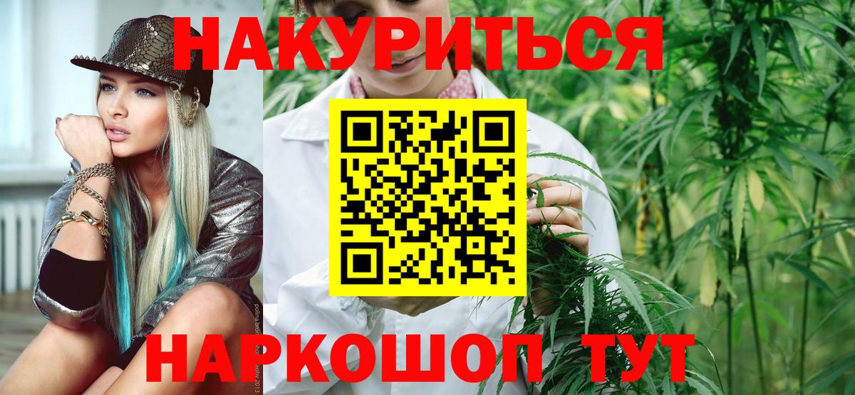 Шишки марихуана план Будённовск